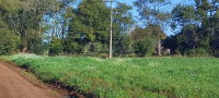 Terreno Rural 50.000m² Fazenda Cerro Pelado, sem benfeitorias