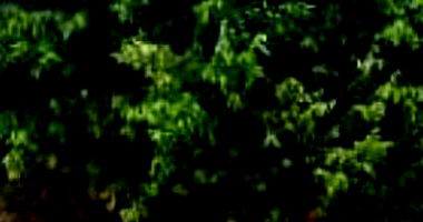 Casa em leilão com 2 quartos em Vila Santa Luzia