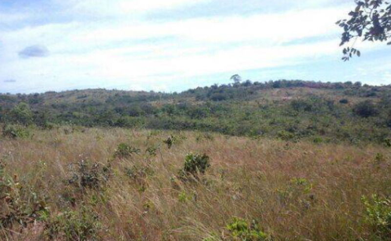 Imóvel Rural em Tiros/MG com 104.76 Hectares
