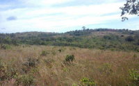Imóvel Rural em Tiros/MG com 104.76 Hectares