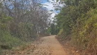 Engenho Tamatião com 757,96ha em Agua Preta/PE