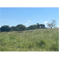 Imóvel Rural com 38ha em Ituiutaba/MG