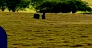 Fazenda em Timbaúba/PE com Amplo Potencial Rural