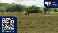 Fazenda em Timbaúba/PE com Amplo Potencial Rural