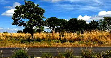 Terreno Amplo em Posse/GO com 9.875 m²