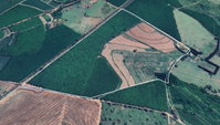 Fazenda Primavera I - Área de 55 ha em Bálsamo - SP