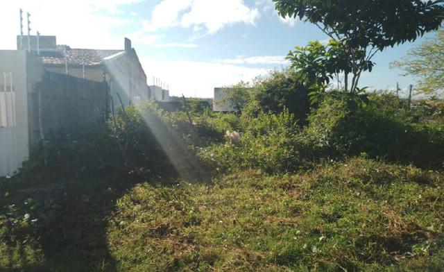 Terreno residencial em Nossa Senhora do Socorro, ideal para construção