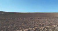 Terreno Rural em Imbuia/SC com 30.268,96 m²