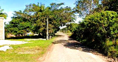 Área de Terras Rural em Terra de Areia - Oportunidade Única