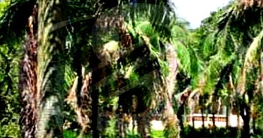 Terreno com Casa Sede e Piscina em Sorocaba/SP - 13.400 m²