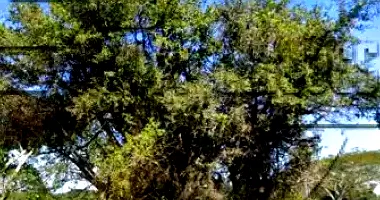 Área de Terras com 7ha em Gravataí/RS