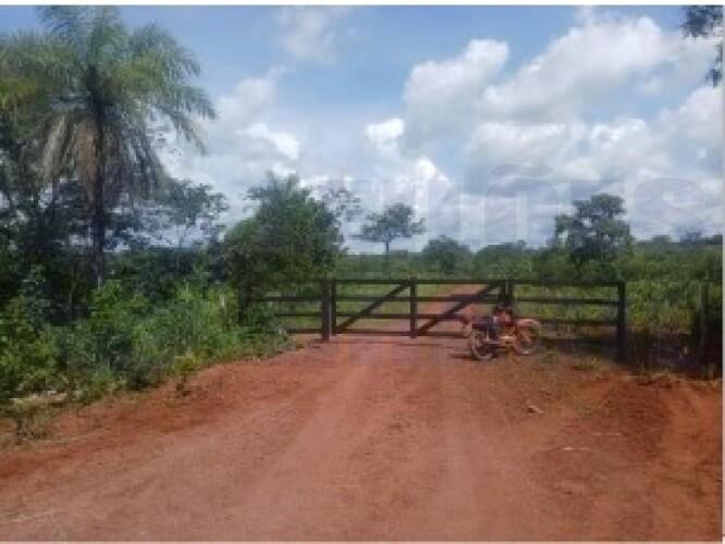 Imóvel Rural Fazenda Renascença com 59,59 ha - Área Total 375 ha