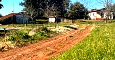Chácara com 2,6 hectares, benfeitorias, piscina e garagem