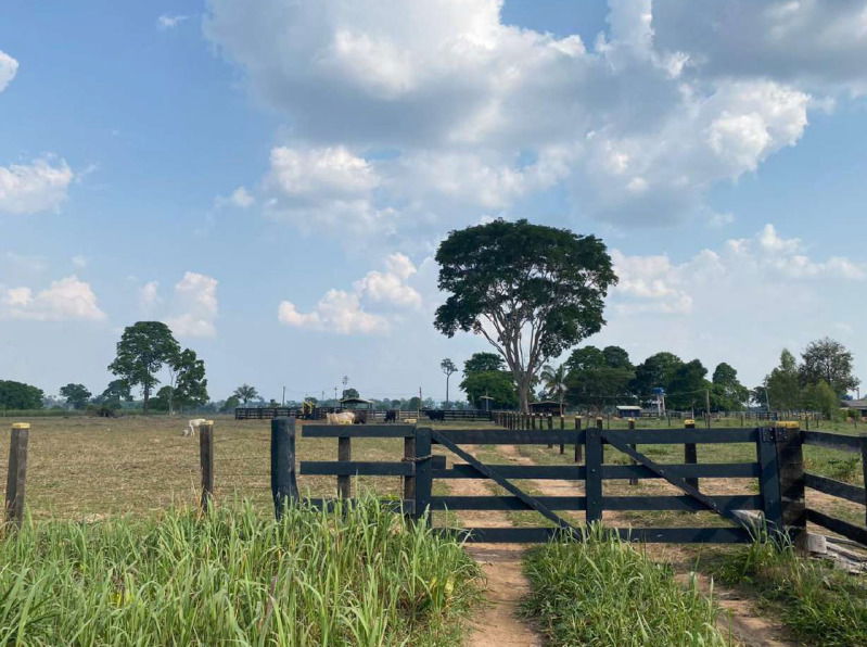 Lote Rural com Clube e Pasto em Costa Marques