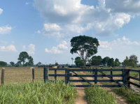 Lote Rural com Clube e Pasto em Costa Marques