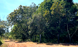Imóvel com 9,71 ha - Remanescente em Uirapuru/GO