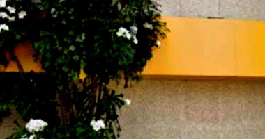 Imóvel em Fátima - Fortaleza/CE com 423m² construída