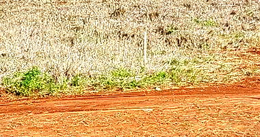 Terreno Urbano com 270m² em Realeza/PR