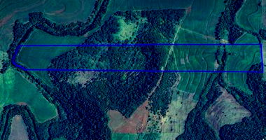 Fazenda Adamantina com 13 Alqueires em Engenheiro Beltrão/PR