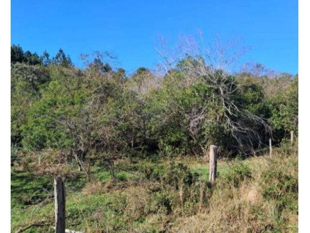 Terreno de 50.000 m² em Aldeia Velha