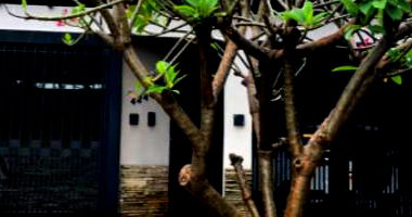 Casa com 500m² em Campo Grande/MS - Vila São Sebastião