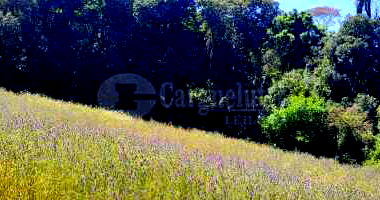 Fração de Terras de Cultura com 3,1250ha em Entre-Ijuís/RS