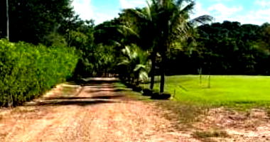 Chácara Conquista com Benfeitorias em Pires do Rio-GO
