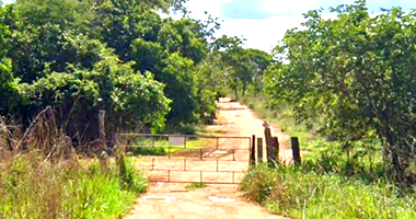 Espaçosa Fazenda Ocupada com 10.519.320 m² de Terreno
