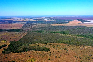 Lote de terras com 138,18ha - Sítio Itapoã