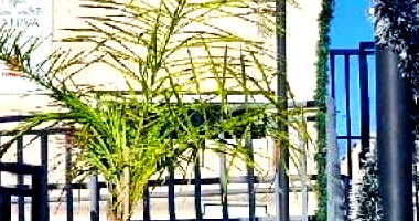 Apartamento 2 quartos 1 banheiro 40,53m² área privativa