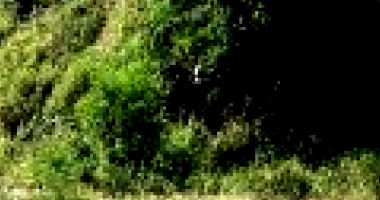 Terreno Amplo em Tambaú/SP com 10301m²