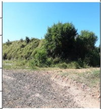 Terreno Amplo em Tambaú/SP com 10301m²