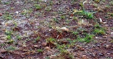 Terreno Urbano no Bairro São José em Getúlio Vargas/RS