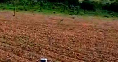 Área Rural com 237 Hectares em Coxim - MS