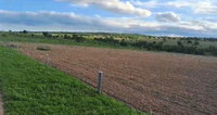Área Rural com 237 Hectares em Coxim - MS