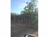 Sítio Agrícola com 50 Hectares em Xique-Xique/BA