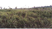 Imóvel Rural com 34,75 HA em Acrelândia/AC