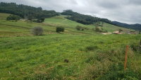 Terreno rural amplo de 15.000 m² com ótima localização e documentação regular