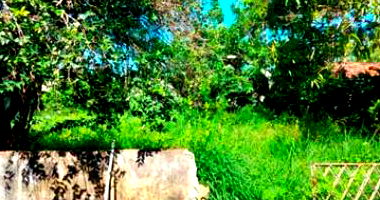 Terreno em Timbaúba com 50% de fração ideal