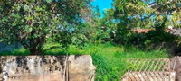 Terreno em Timbaúba com 50% de fração ideal