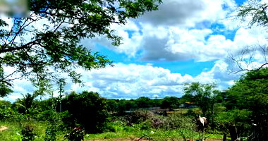 Terreno em Major Isidoro - AL com 28.895m²