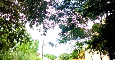 Casa com pequena construção em alvearia, 360m², desocupada