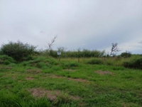 Terreno Industrial de 2.675,91 m² no Distrito Industrial