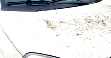 CAMINHONETE FIAT/FIORINO 2017