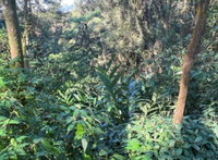 Terreno com 1.900m² em Parque das Garças, Santo André/SP