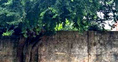 Terreno em Açailândia/MA com 416,6m²