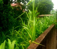 Casa em Inoã - Maricá - RJ com Condomínio Costa do Sol I