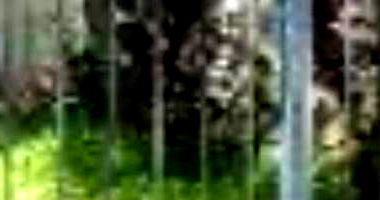 Casa Ocupada em Jaraguá com 101m² de Área Construída