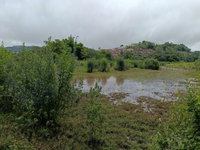 Área de pastagem com 17.051m², ideal para investimento rural
