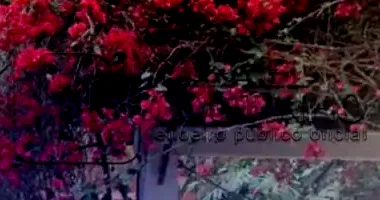 Casa com Terreno de 1.150m² em Teresópolis/RJ